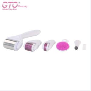 GTO 6 IN 1 Derma Roller Suit